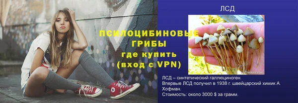 шишки Бикин