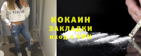 мдпв Краснослободск
