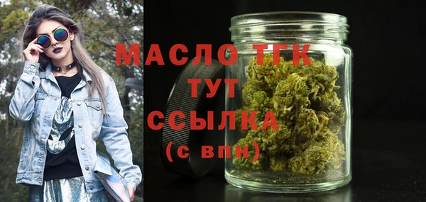 мдпв Краснослободск